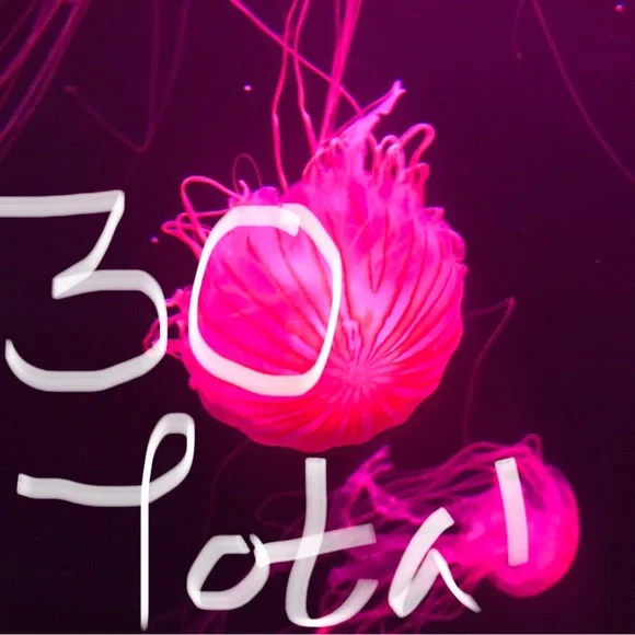 6x10.5 in & 14.5x10 polymailers - Picture 6 of 6